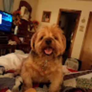 Meet your Posher, Gary